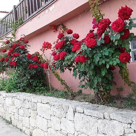 Beautiful In With Sea View..!!! Σπίτι διακοπών Άφυτος